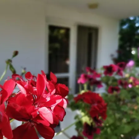 Guest house дъбрава