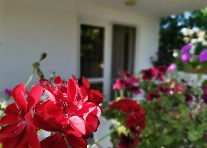 Guest house дъбрава