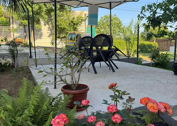 дъбрава 3* Sinemoretz